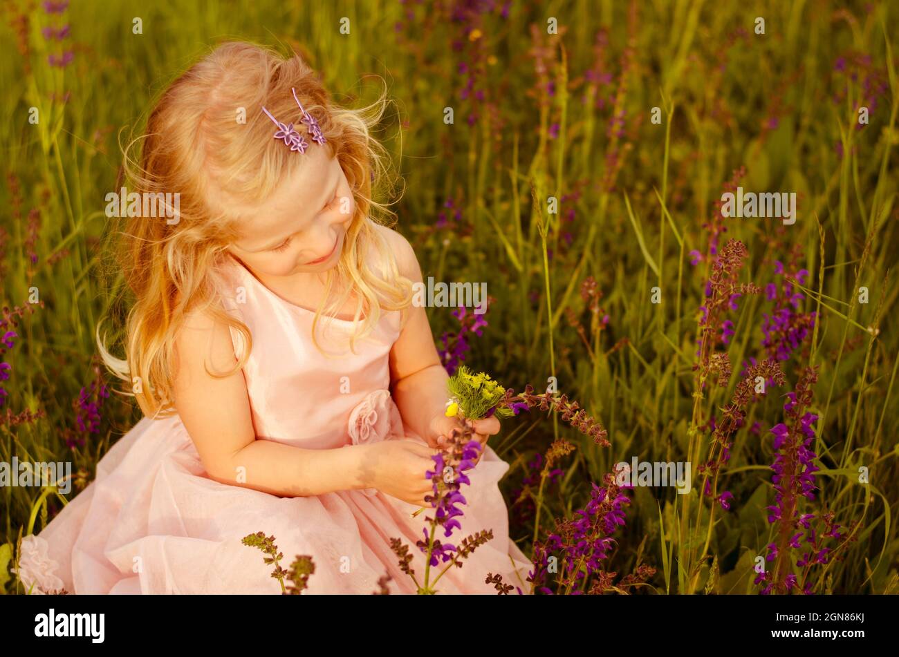 schöne blonde Mädchen in Blumenwiese Stockfoto