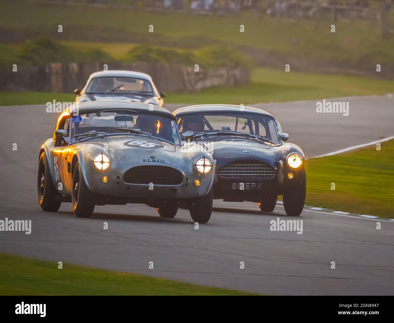 Kobras-Rennen bei Sonnenuntergang beim Goodwood Revival 2021, West Sussex, großbritannien Stockfoto