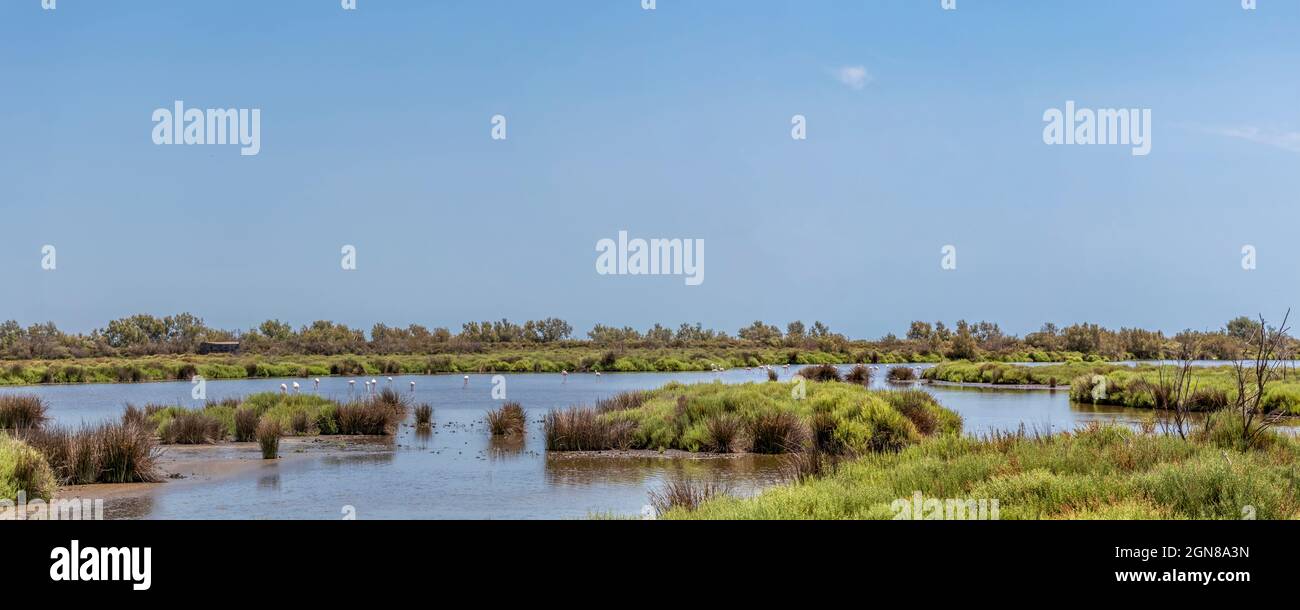 Landschaft der Camargue National Naturschutzgebiet, einzigartiges Biotop mit Spiegelwasser und Himmel Reflexion, Feuchtgebiet Umwelt und ein angrenzendes Meeresgebiet, U Stockfoto