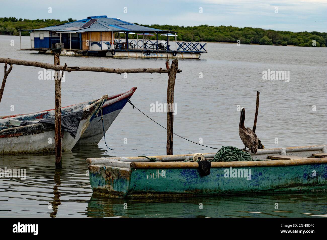 Pelican thronte auf einem alten rostigen Boot am See Stockfoto