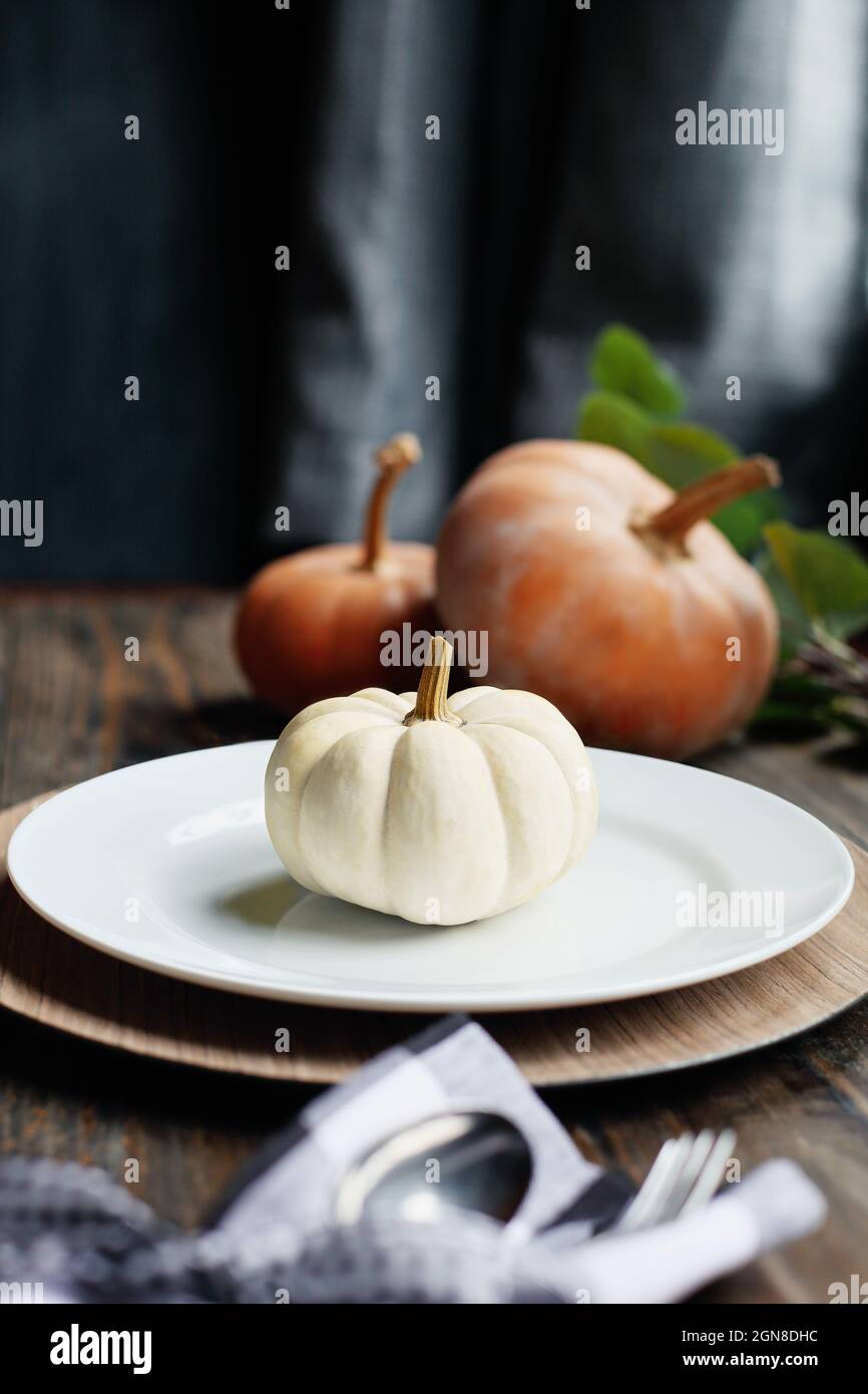 Festlich eingerichtet mit Teller, Serviette und Besteck an einem mit Thanksgiving-Tag dekorierten Tisch. Weiße und orangefarbene Kürbisse. Selektiver Fokus mit Unschärfen Stockfoto