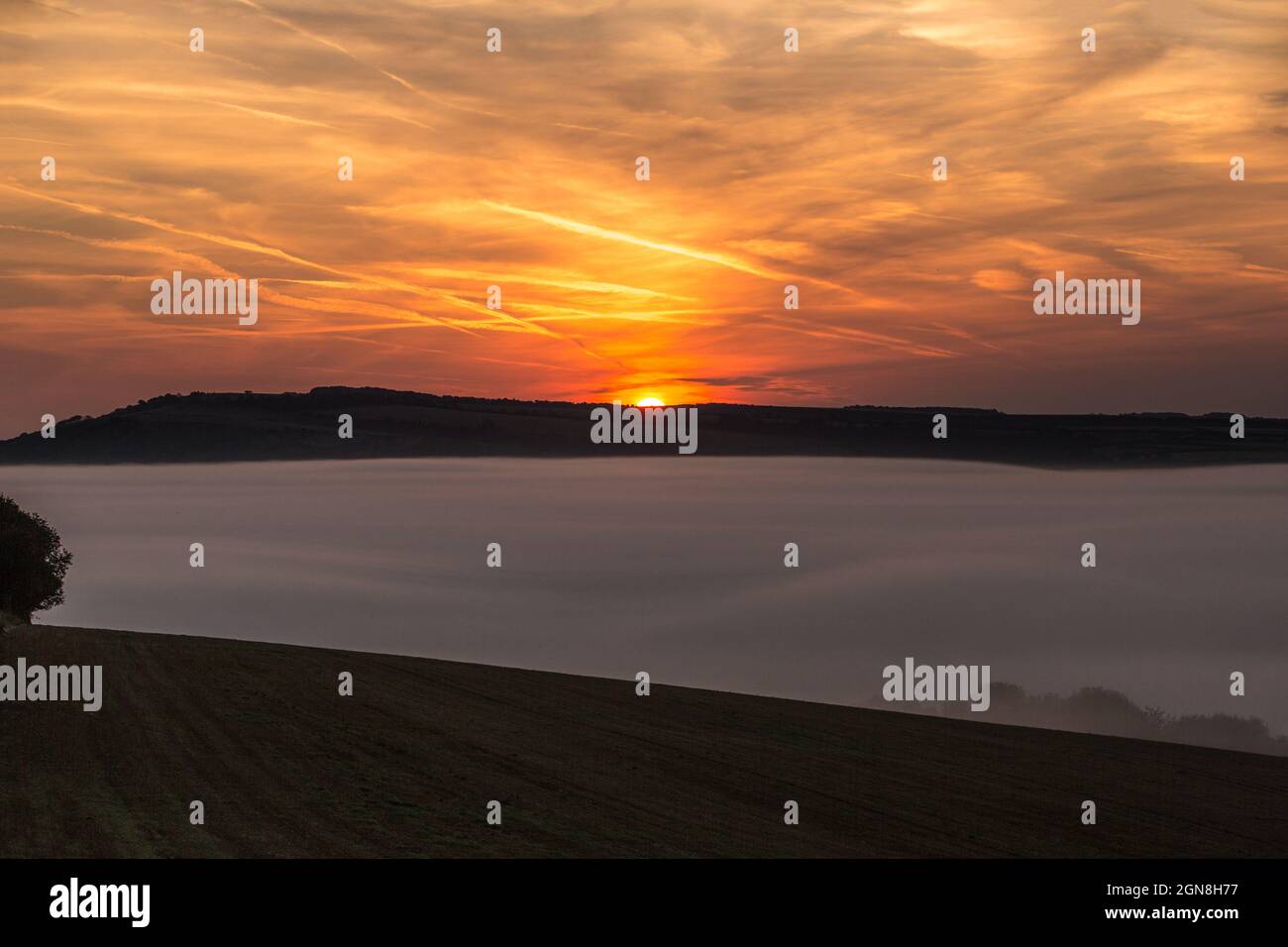 Nebliger Sonnenaufgang, South Downs Stockfoto