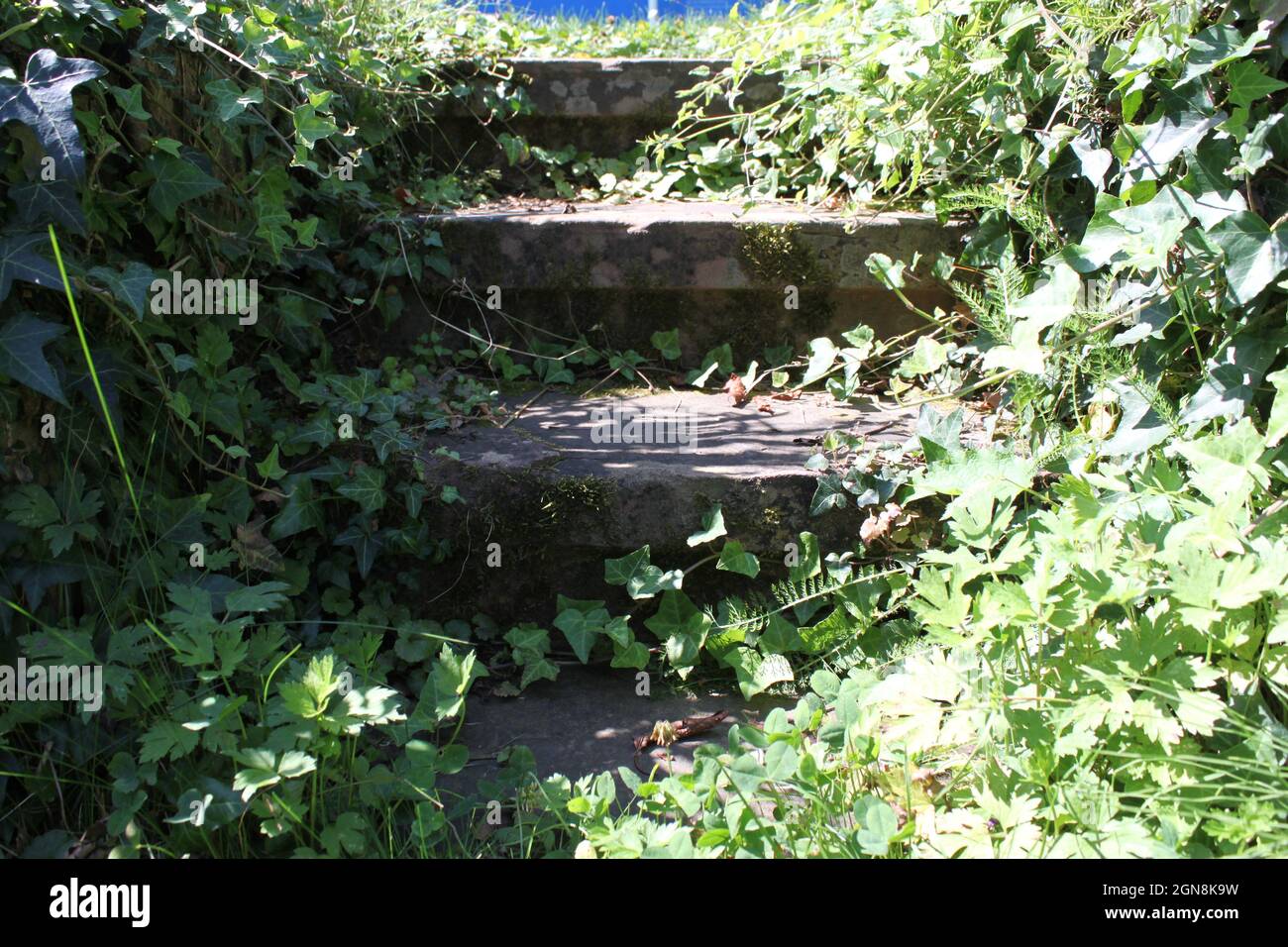 Natursteintreppen Fotos und Bildmaterial in hoher Auflösung Alamy