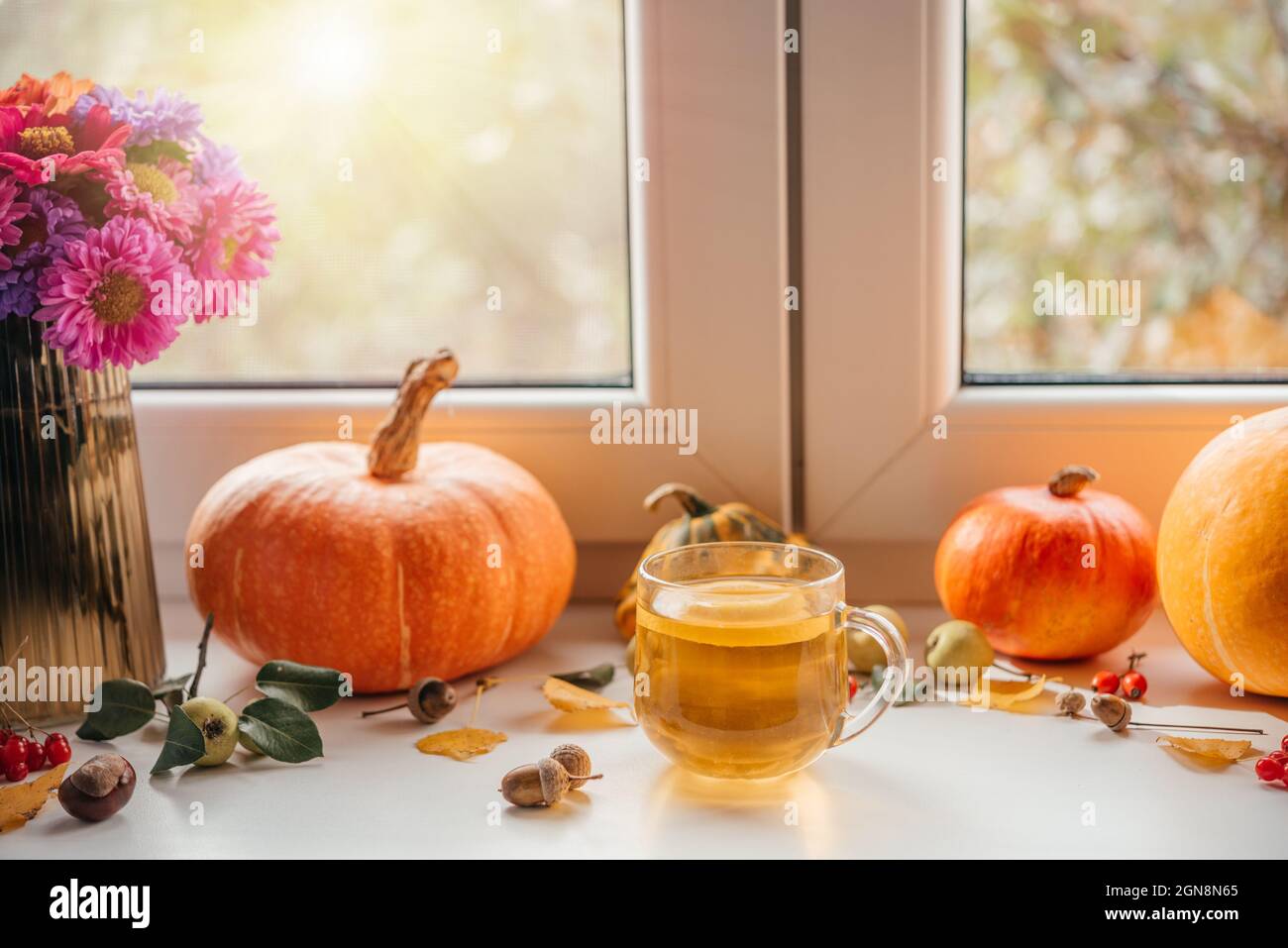 Gemütliche Herbstkomposition mit einer Tasse Zitronentee, Kürbissen und ...