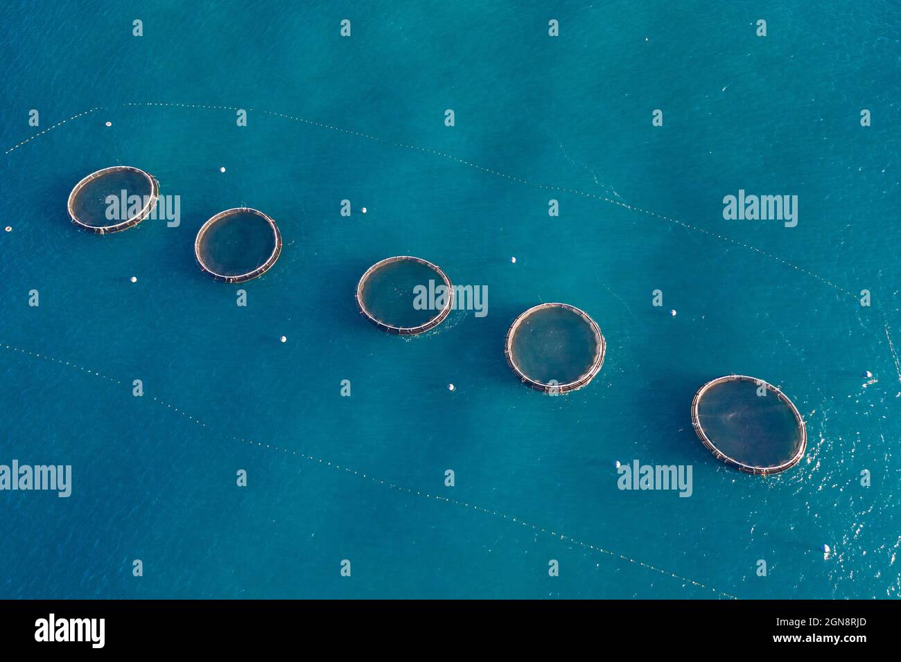 Luftaufnahme einer Reihe von Fischfarmen, die im blauen Wasser schwimmen Stockfoto