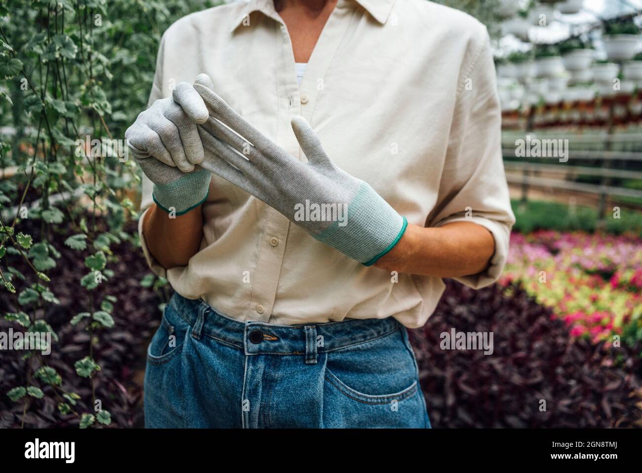 Landwirtschaftliche Arbeiterin, die Schutzhandschuh entfernt, während sie in der Pflanzenzügnerei steht Stockfoto