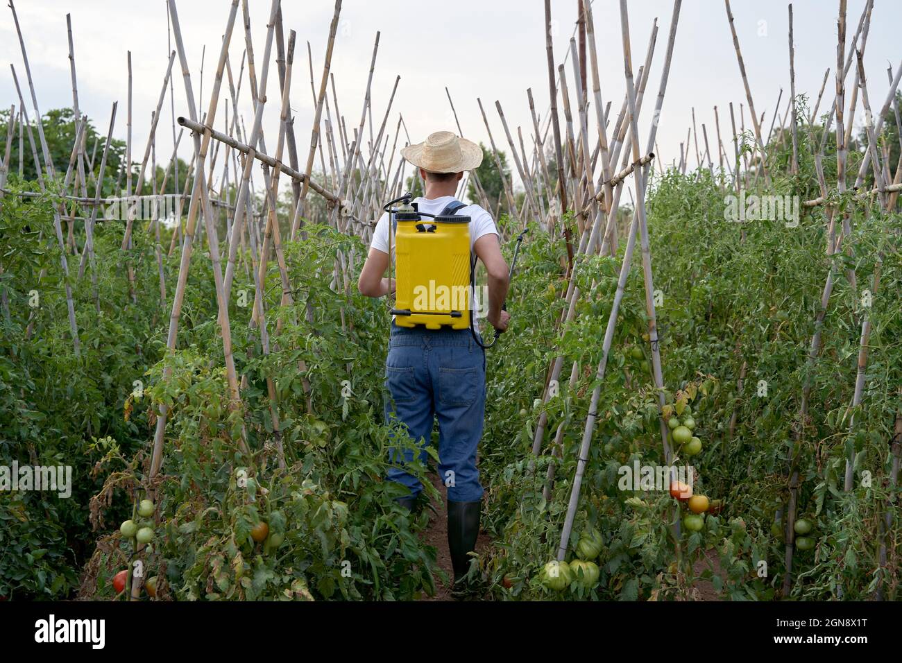 Landarbeiter mit Feldspritze während der Arbeit auf dem landwirtschaftlichen Feld Stockfoto