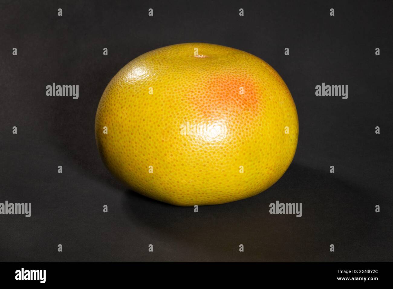 Gelbe Grapefruit auf schwarzem Hintergrund Stockfoto