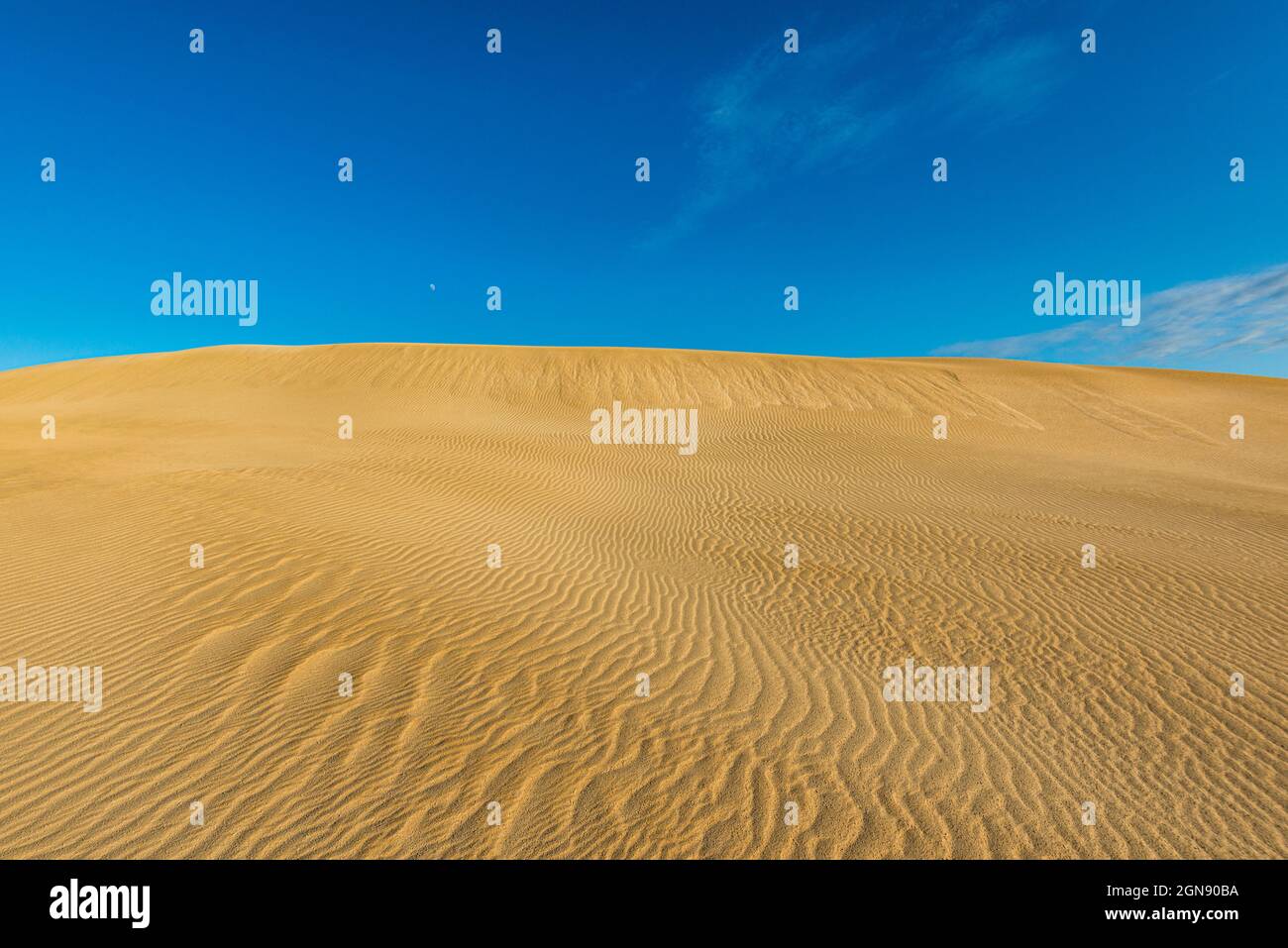 Wellige Düne im Lincoln National Park Stockfoto