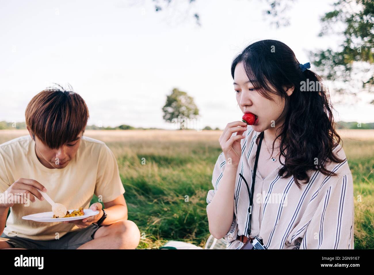 Frau, die während des Picknicks mit dem Mann im Park Erdbeere isst Stockfoto
