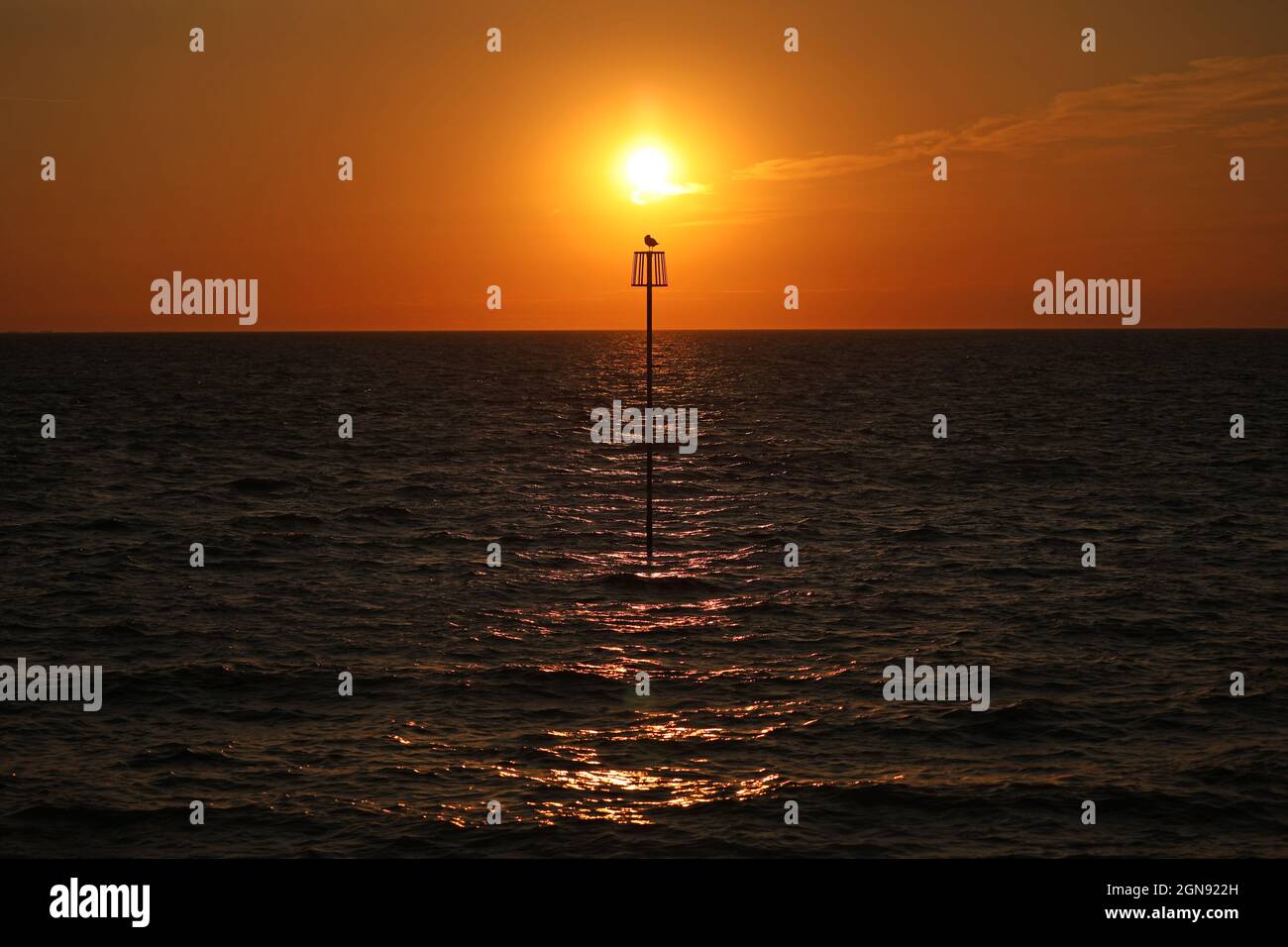 Heacham, Großbritannien. September 2021. Eine Möwe sitzt auf einem Meeresverteidigungsgroyne-Marker an einem wunderschönen Ausklang des Tages kurz vor dem Herbst-Tagundnachtgleiche-Sonnenuntergang in Heacham, Norfolk, am 22. September 2021.Quelle: Paul Marriott/Alamy Live News Stockfoto