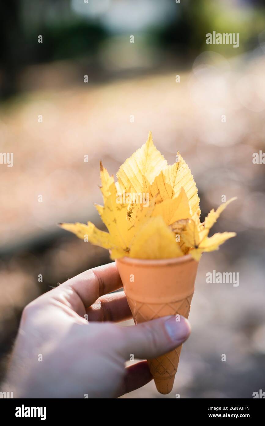 Junger Mann mit Eiskegel und Blättern Stockfoto