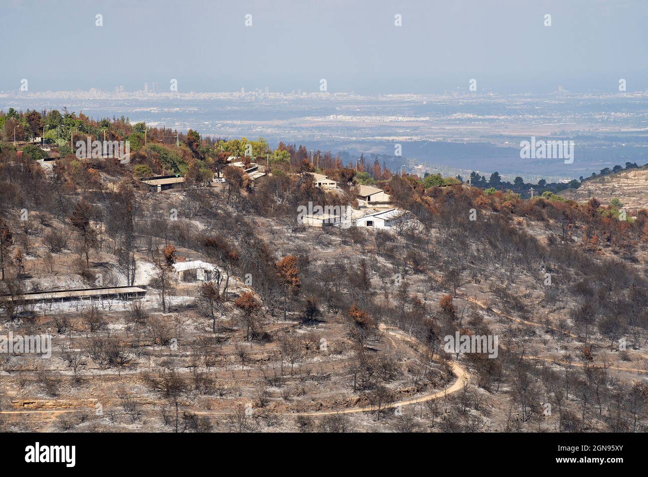 Landwirtschaftliche Gebäude brannten in einem Waldbrand, der in den Judäa-Bergen in der Nähe von Jerusalem, Israel, stattfand. Israels Küstenebene ist in der Dunstigen zu sehen Stockfoto