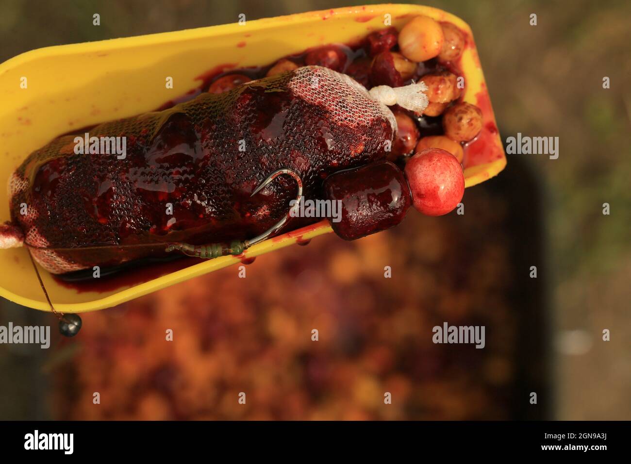 Köder auf einem großen Karpfen mit einem Netz und einer baat auf einem großen See. Stockfoto