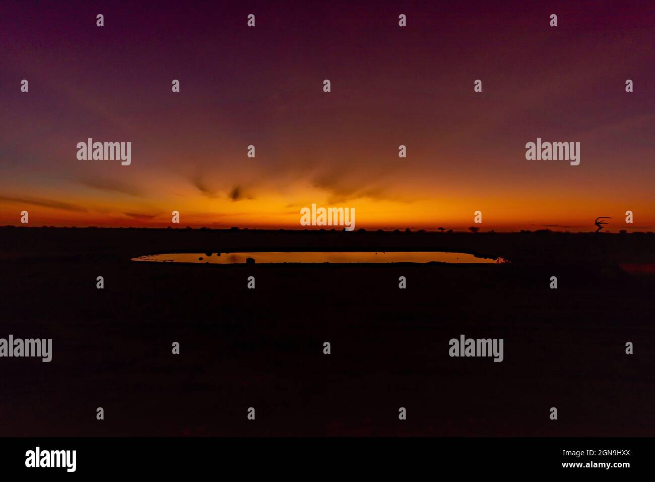 Ein Sonnenaufgang in freier Wildbahn Stockfoto