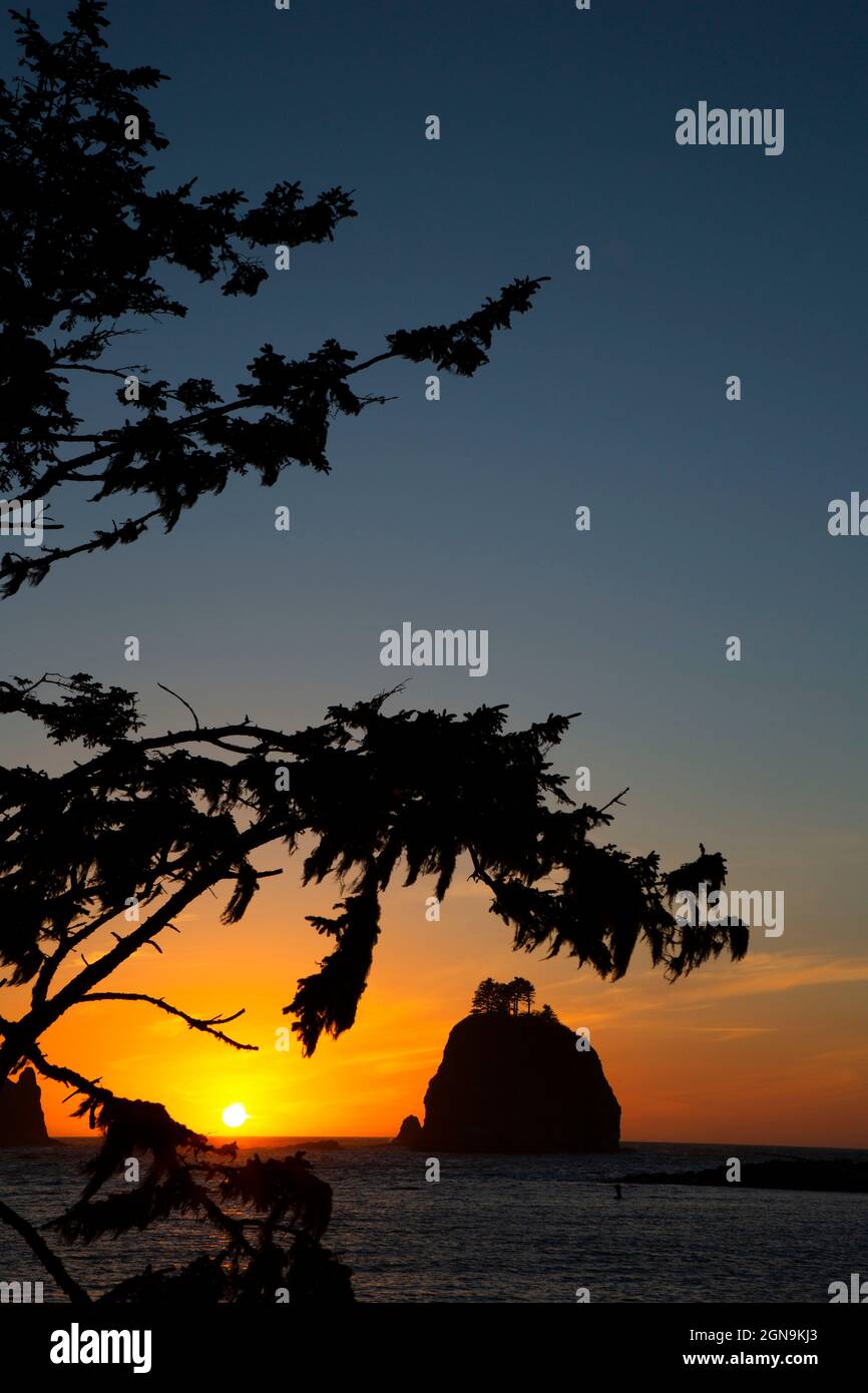 Seastack Dusk, La Push, Quileute Indian Reservation, Washington Stockfoto