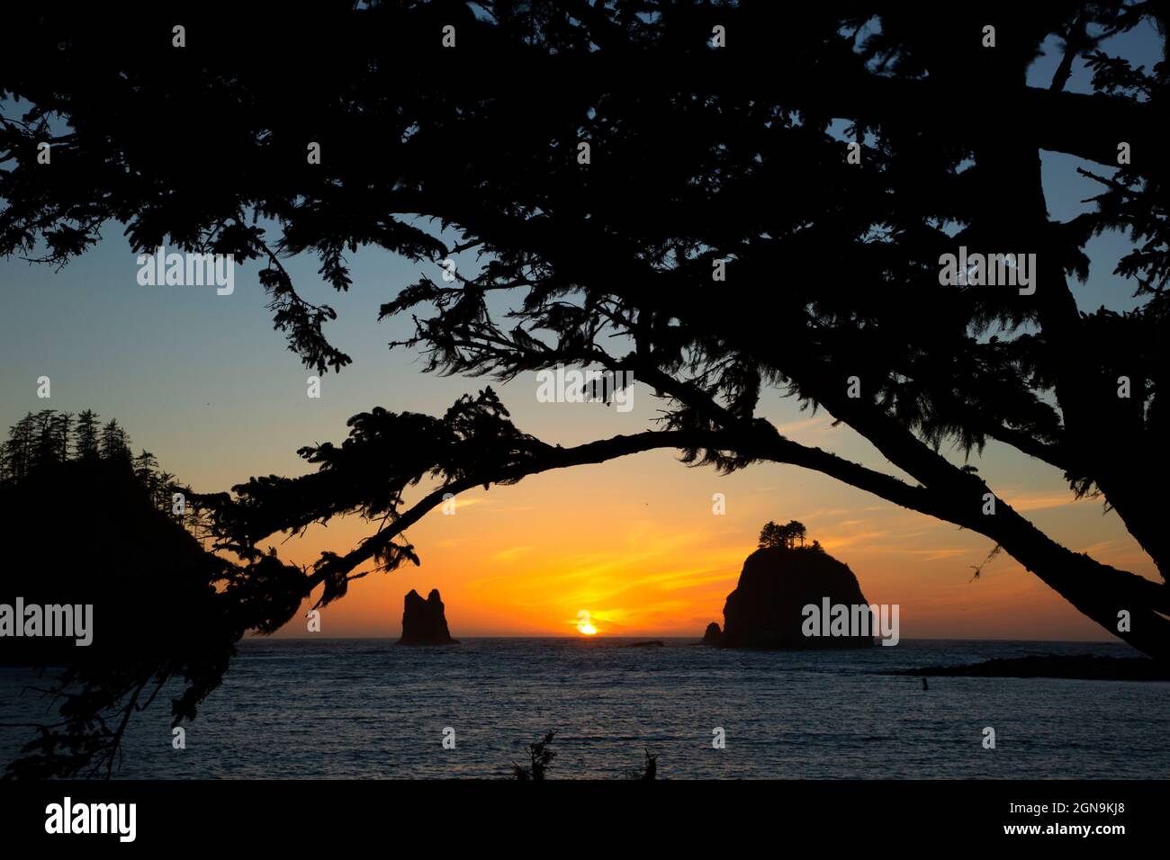 Seastack Dusk, La Push, Quileute Indian Reservation, Washington Stockfoto