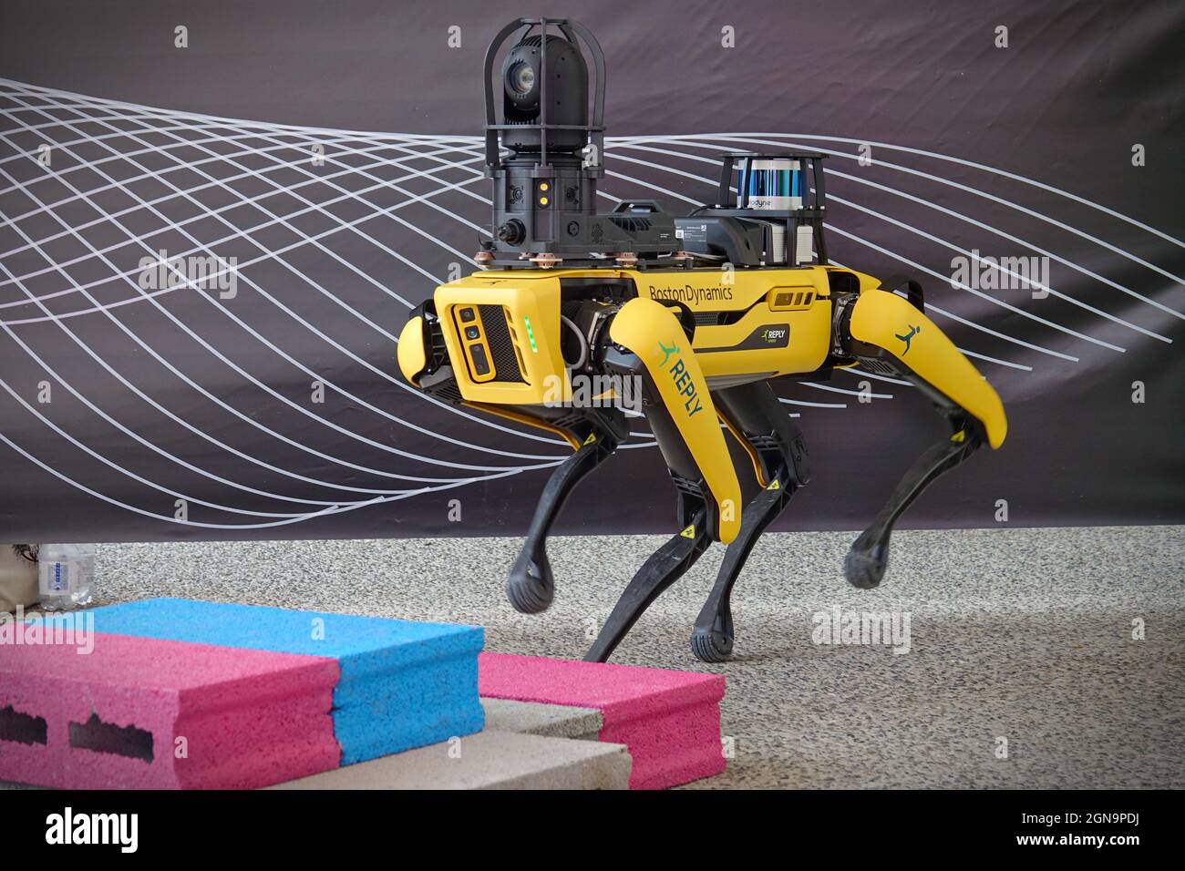 Gelber Roboterhund, geeignet für industrielle Detektion und Fernbetrieb. Mini Robot Guard Spot. Turin, Italien - September 2021 Stockfoto