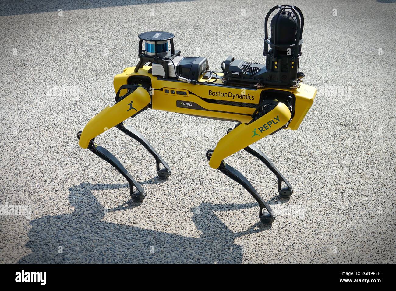 Gelber Roboterhund, geeignet für industrielle Detektion und Fernbetrieb. Mini Robot Guard Spot. Turin, Italien - September 2021 Stockfoto