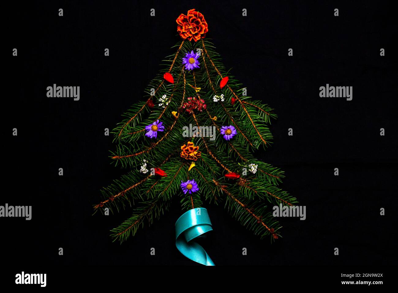 Weihnachtsbaumform aus verschneiten Tannenzweigen mit verschiedenen Blüten und türkisfarbenem Band Quadratische Zusammensetzung, flache Lage, Blick von oben Winterfichte Stockfoto