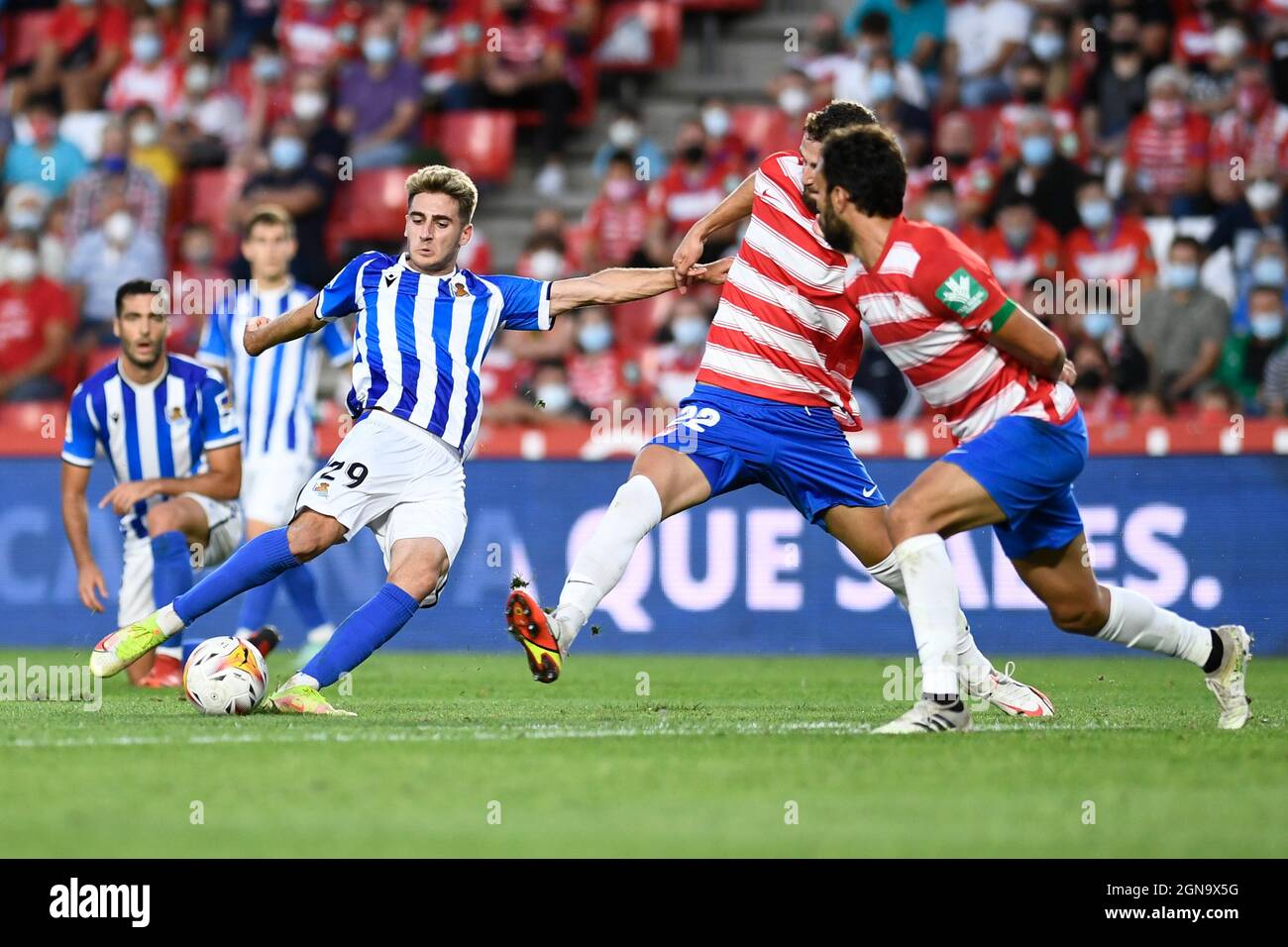 Granada, Spanien. September 2021. Der echte Sociedad-Spieler Robert Navarro und der CF-Spieler Domingos Duarte aus Granada in Aktion während des La Liga Santander-Spiels zwischen Granada CF und Real Sociedad im Estadio Nuevo Los Carmenes in Granada.(Endstand: Granada CF 2:3 Real Sociedad) (Foto: Carlos Gil/SOPA Images/Sipa USA) Quelle: SIPA USA/Alamy Live News Stockfoto