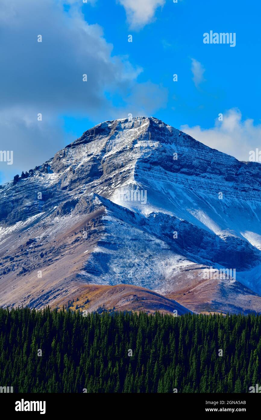 Ein schneebedeckter felsiger Berggipfel im Westen von Alberta, Kanada Stockfoto