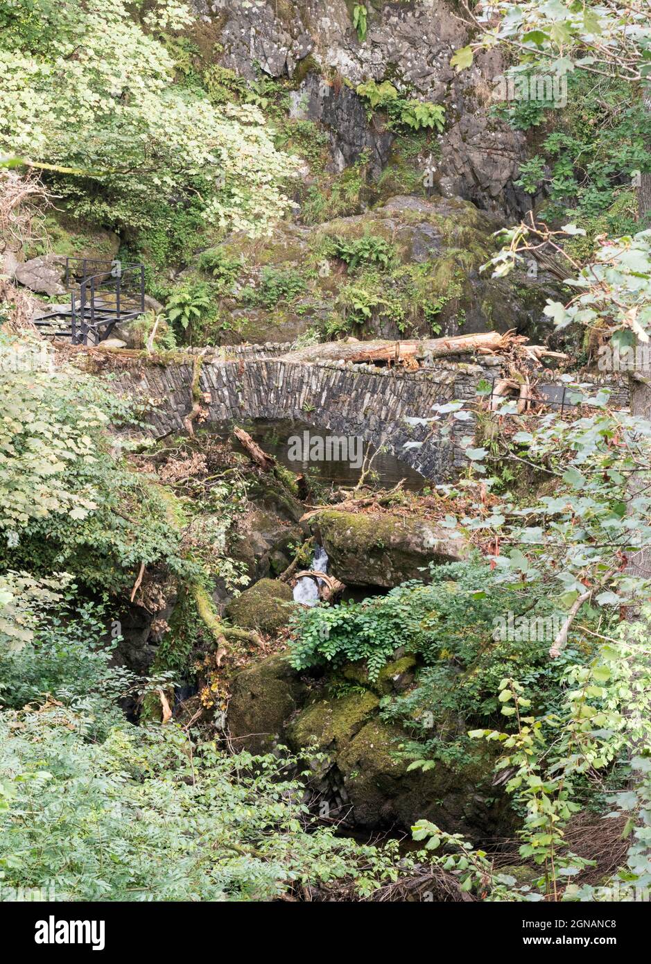 Ein gefallener Baum hat die untere Steinbrücke bei der Aira Force in Cumbria, England, Großbritannien, blockiert Stockfoto