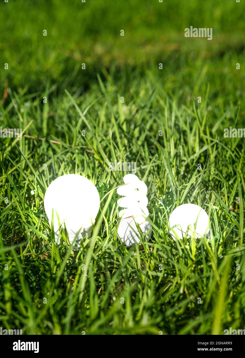 Glühbirnen leuchten auf dem Gras. Konzeptionelle Fotografie, die die Bedeutung der Verwendung grüner und sauberer Energie für die Umwelt zeigt. Stockfoto