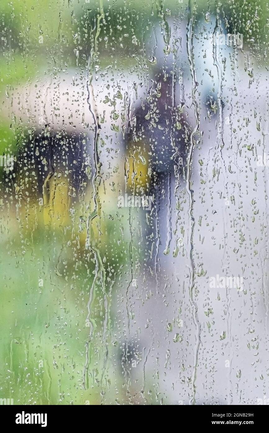 Regenwassertropfen auf Glas. Stockfoto