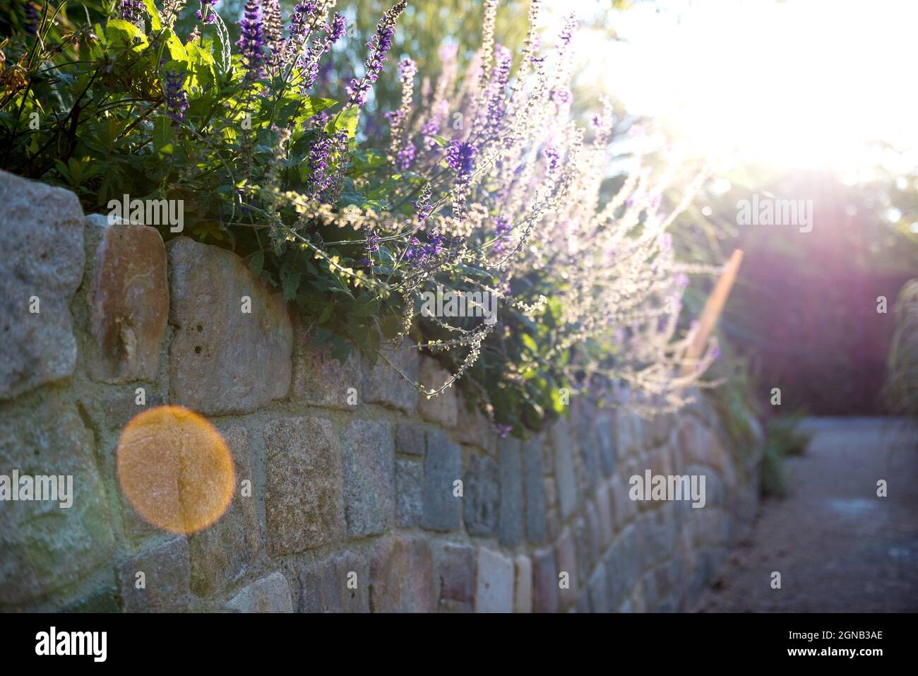 Kreatives Vintage-Gartendesign Stockfoto