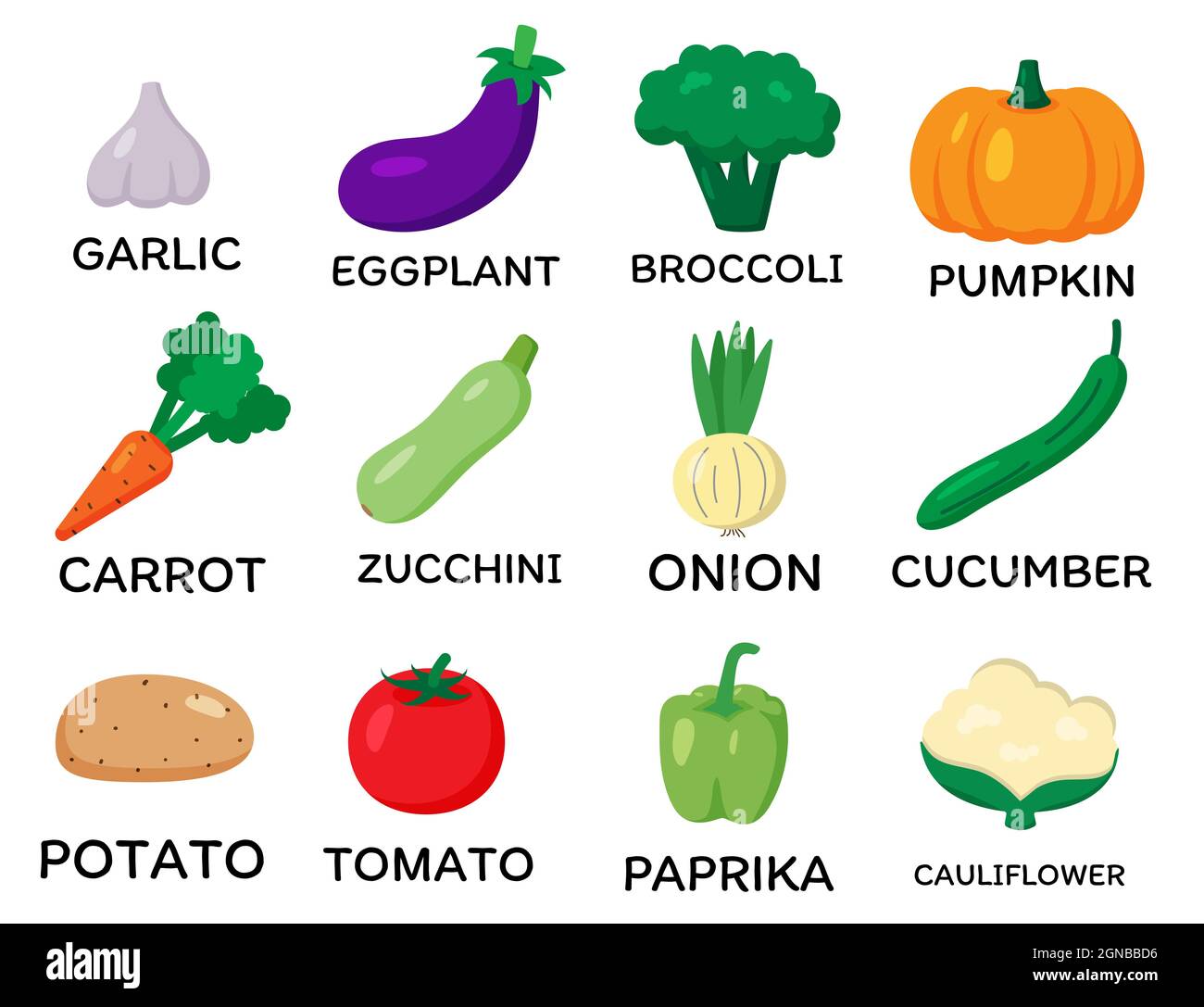 Set von Vektorgemüse. Flacher Cartoon-Stil. Knoblauch, Auberginen, Brokkoli, Kürbis, Karotten, Zucchini, Zwiebeln, Gurken, Kartoffeln, Tomaten, Paprika, Blumenkohl Stockfoto