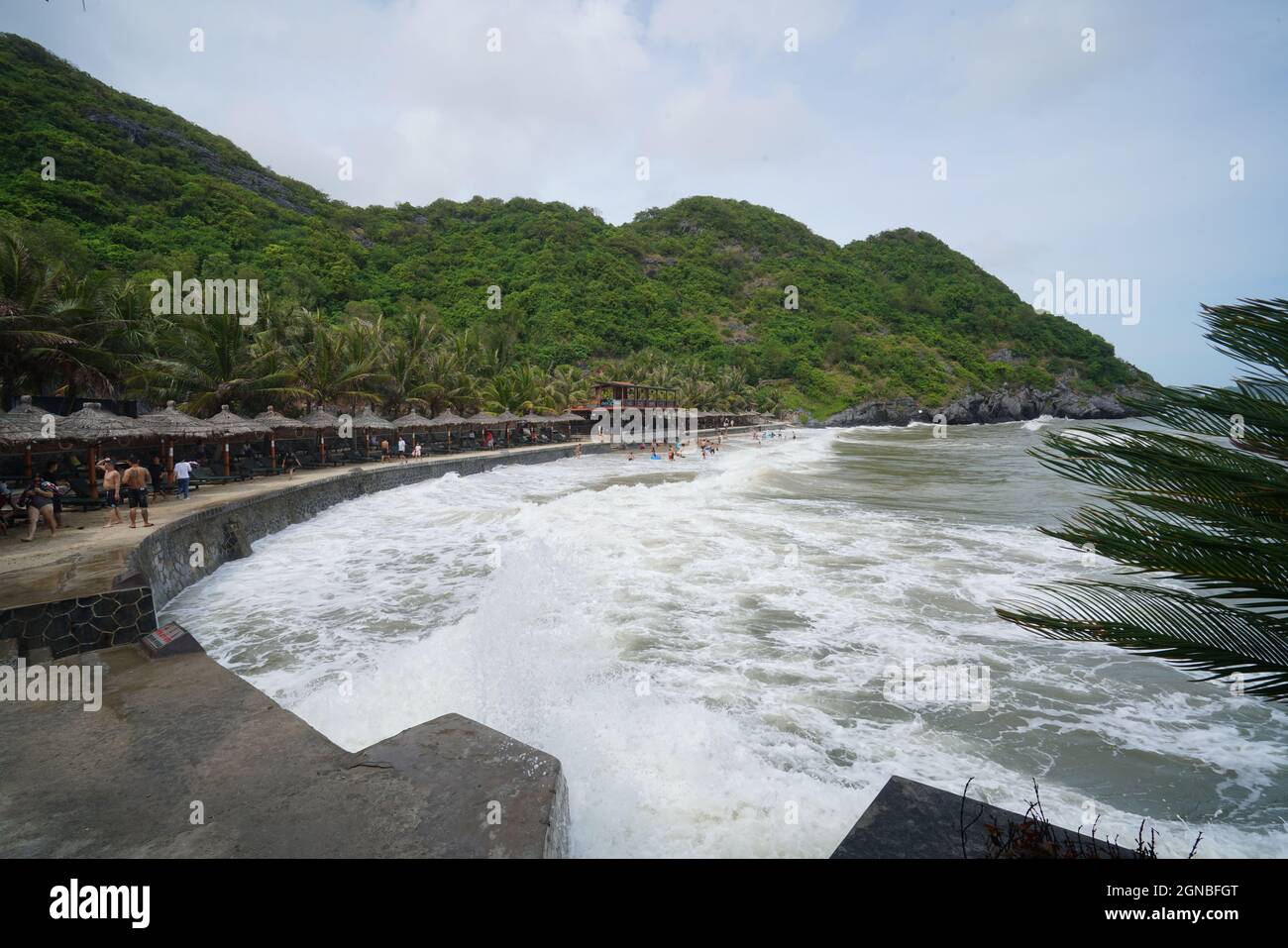 CAT Ba Insel in Hai Phong Stadt Nordvietnam Stockfoto