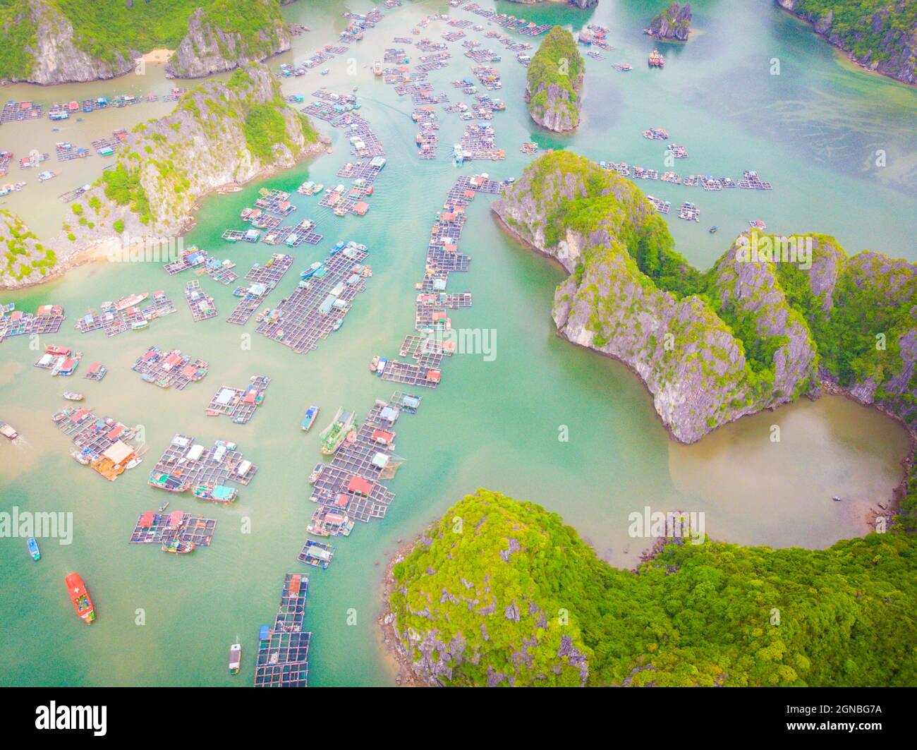 Lan Ha Bay in der Stadt Hai Phong im Norden Vietnams Stockfoto