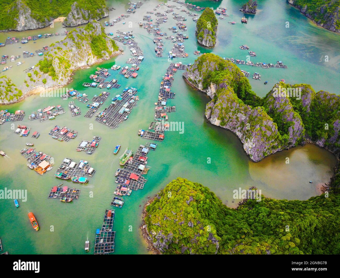 Lan Ha Bay in der Stadt Hai Phong im Norden Vietnams Stockfoto