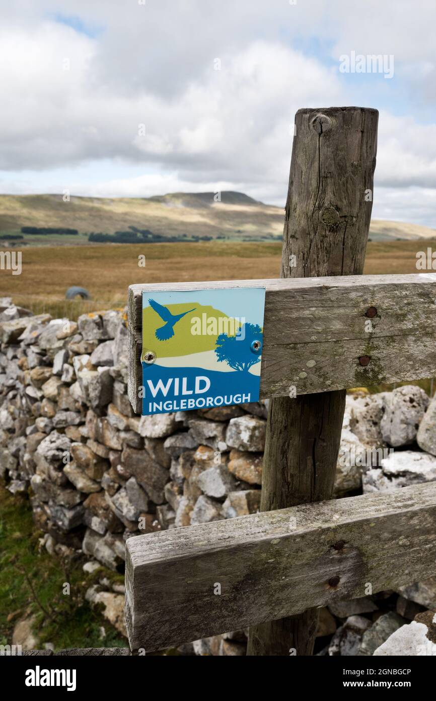 Schild „Wild Inglleborough“ (Naturschutzprojekt) auf Stile, Inglleborough, Yorkshire Dales National Park, Großbritannien. Der Whernside Peak ist am Horizont zu sehen. Stockfoto