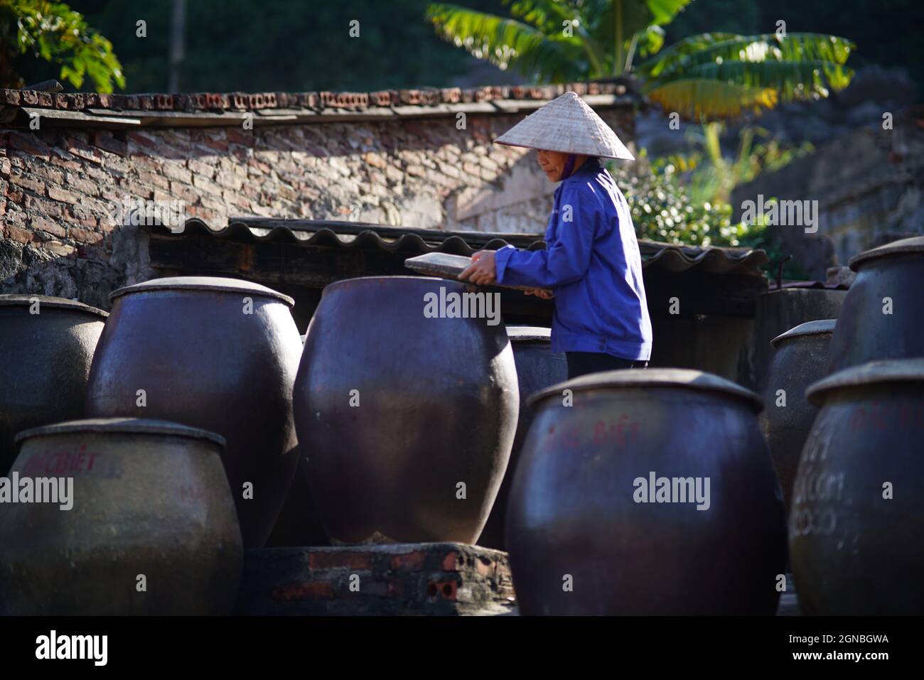 CAT Ba Fischsauce Fabrik in Hai Phong Stadt Nordvietnam Stockfoto