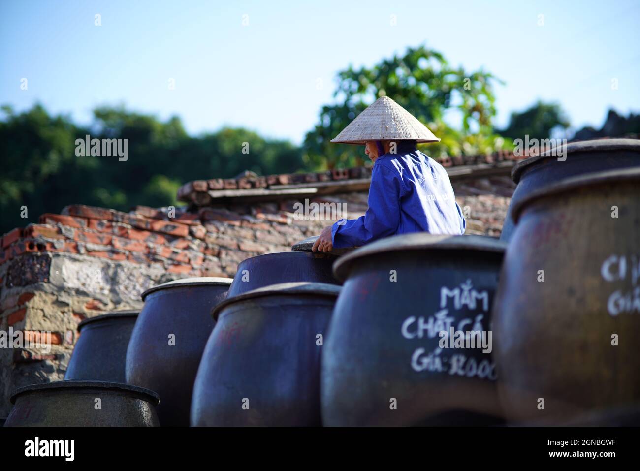 CAT Ba Fischsauce Fabrik in Hai Phong Stadt Nordvietnam Stockfoto