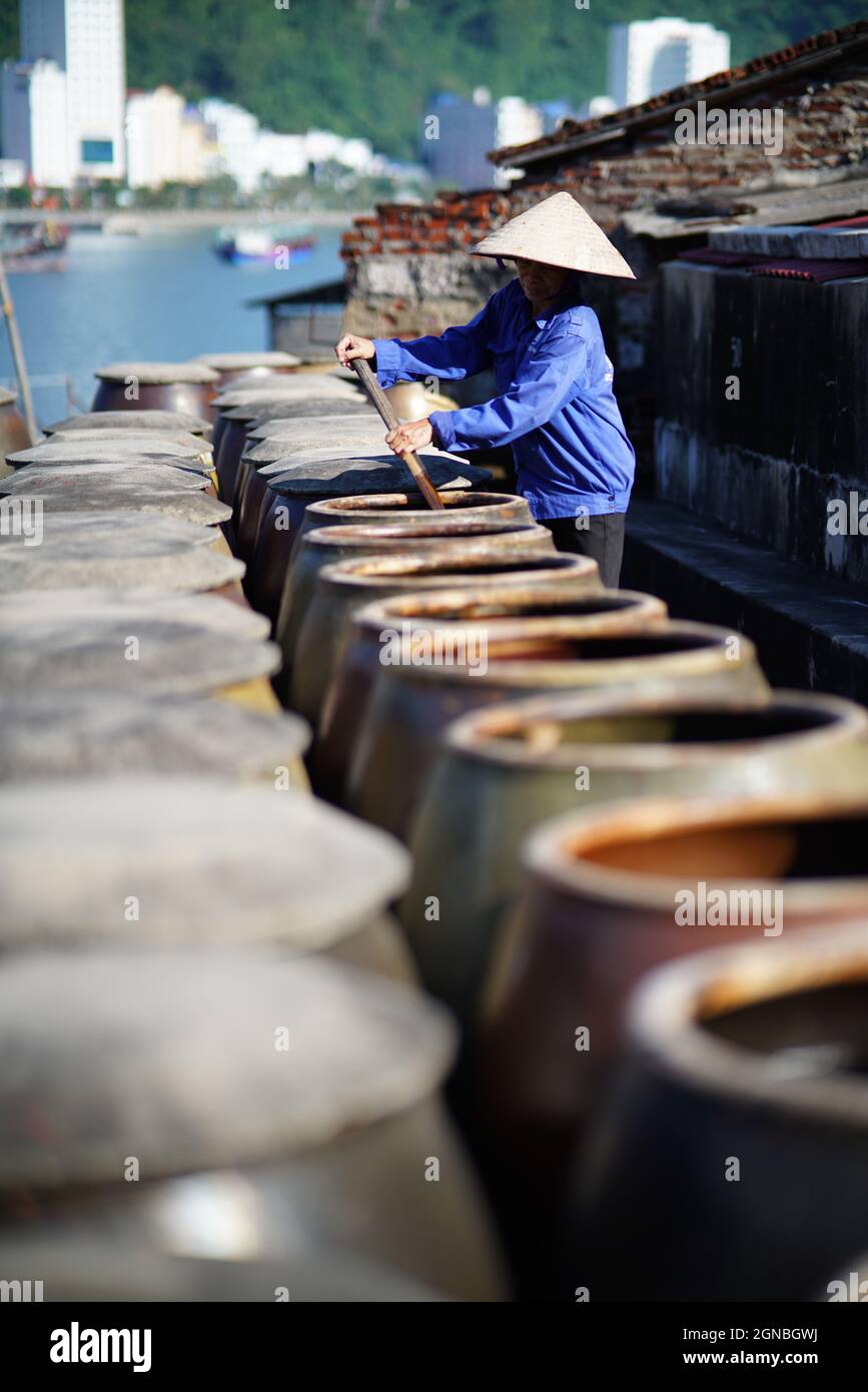 CAT Ba Fischsauce Fabrik in Hai Phong Stadt Nordvietnam Stockfoto