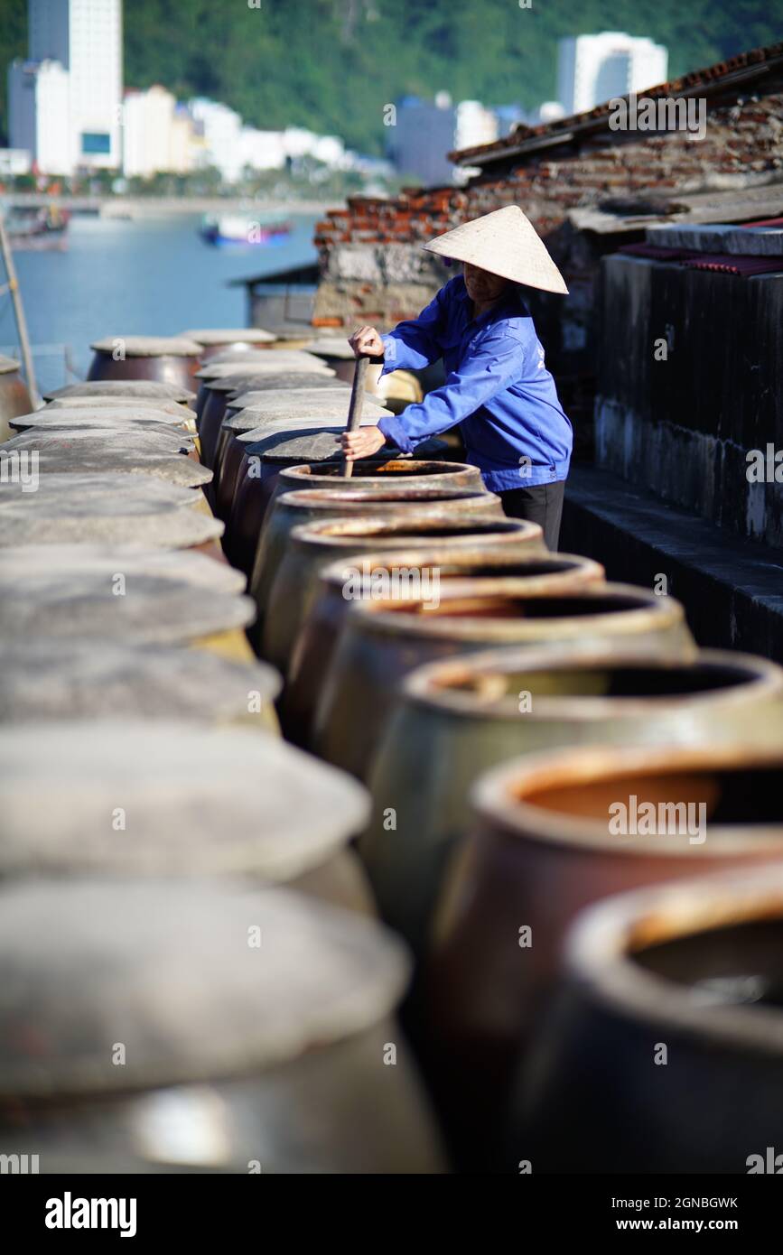 CAT Ba Fischsauce Fabrik in Hai Phong Stadt Nordvietnam Stockfoto