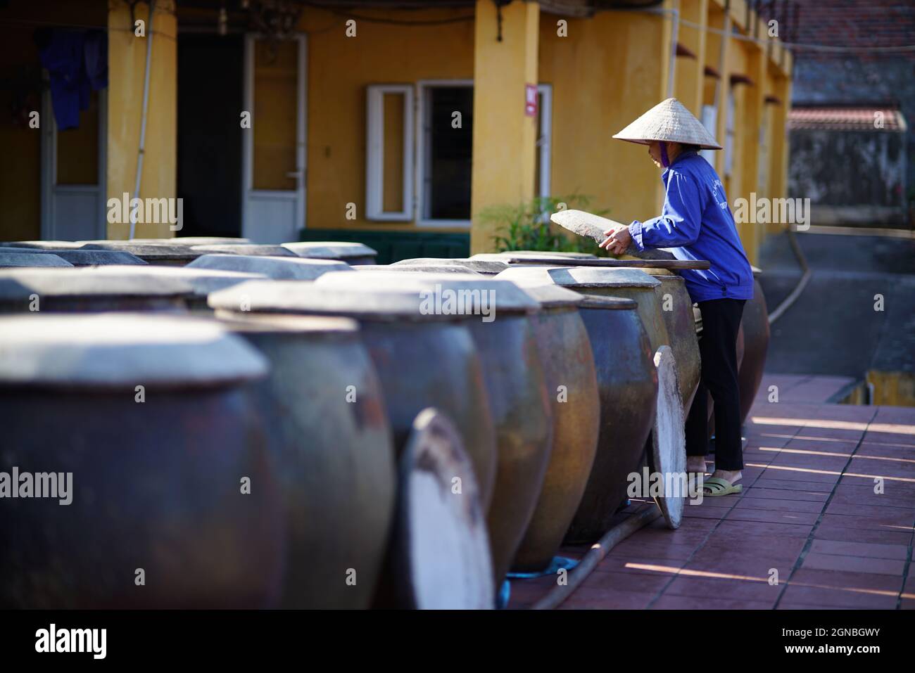 CAT Ba Fischsauce Fabrik in Hai Phong Stadt Nordvietnam Stockfoto