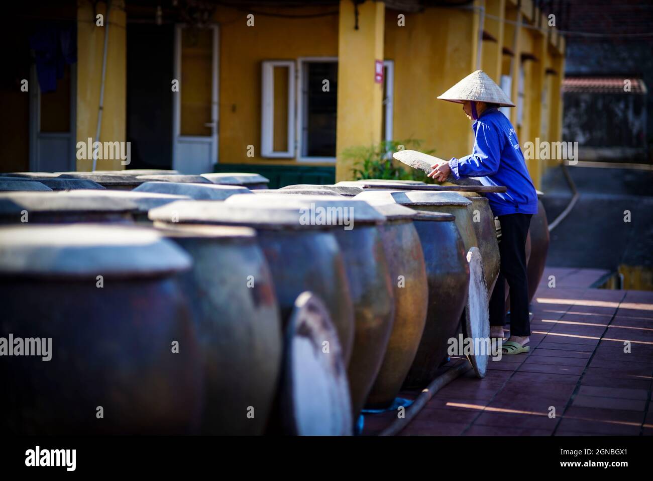 CAT Ba Fischsauce Fabrik in Hai Phong Stadt Nordvietnam Stockfoto