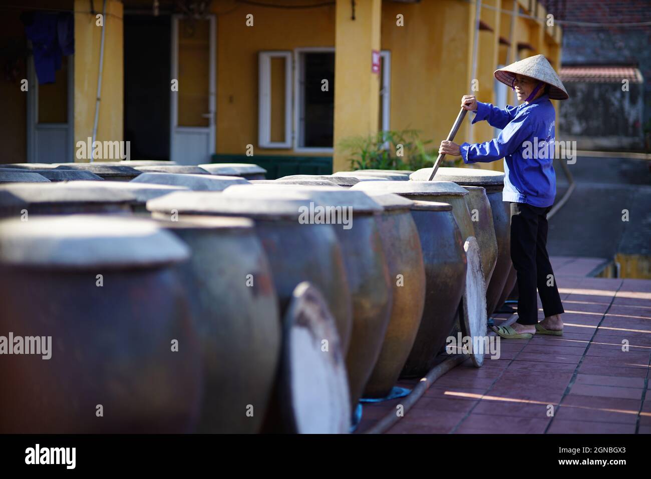 CAT Ba Fischsauce Fabrik in Hai Phong Stadt Nordvietnam Stockfoto