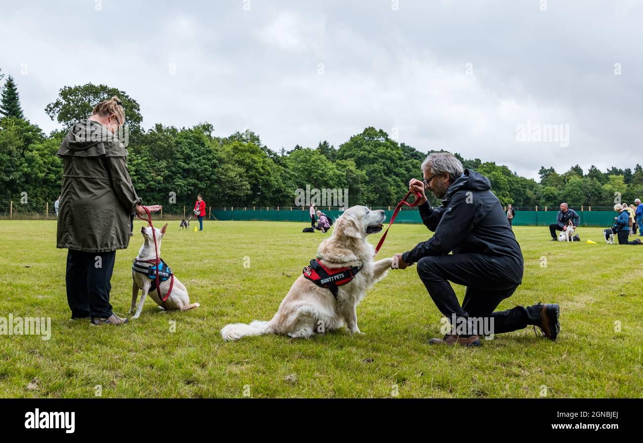 Ein Paar, das beim Hundetrainingstag im Unleashed Dog Agility Park, East Lothian, Schottland, Großbritannien, Hundebefehle unterrichtet Stockfoto