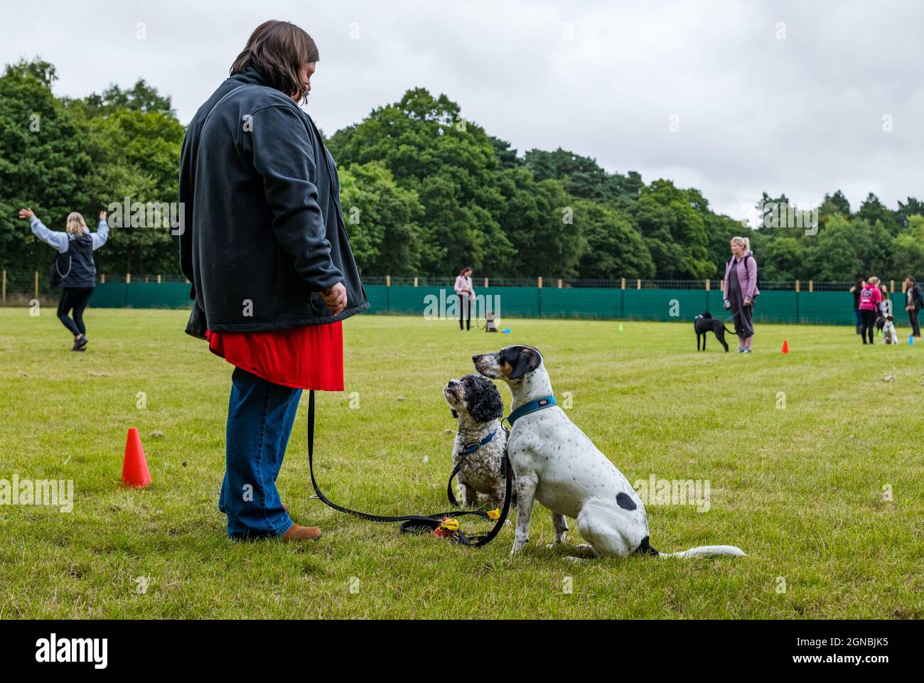 Eine Frau, die beim Hundetrainingstag im Unleashed Dog Agility Park, East Lothian, Schottland, Großbritannien, Hundebefehle unterrichtet Stockfoto