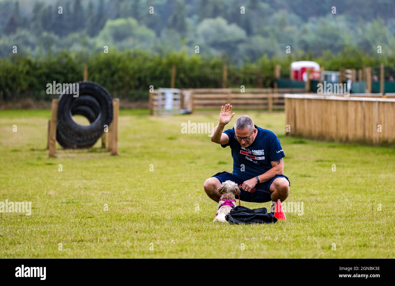 Ein Mann, der ShiUh Tzu beim Hundetrainingstag im Unleashed Dog Agility Park, East Lothian, Schottland, Großbritannien, Befehle gibt Stockfoto