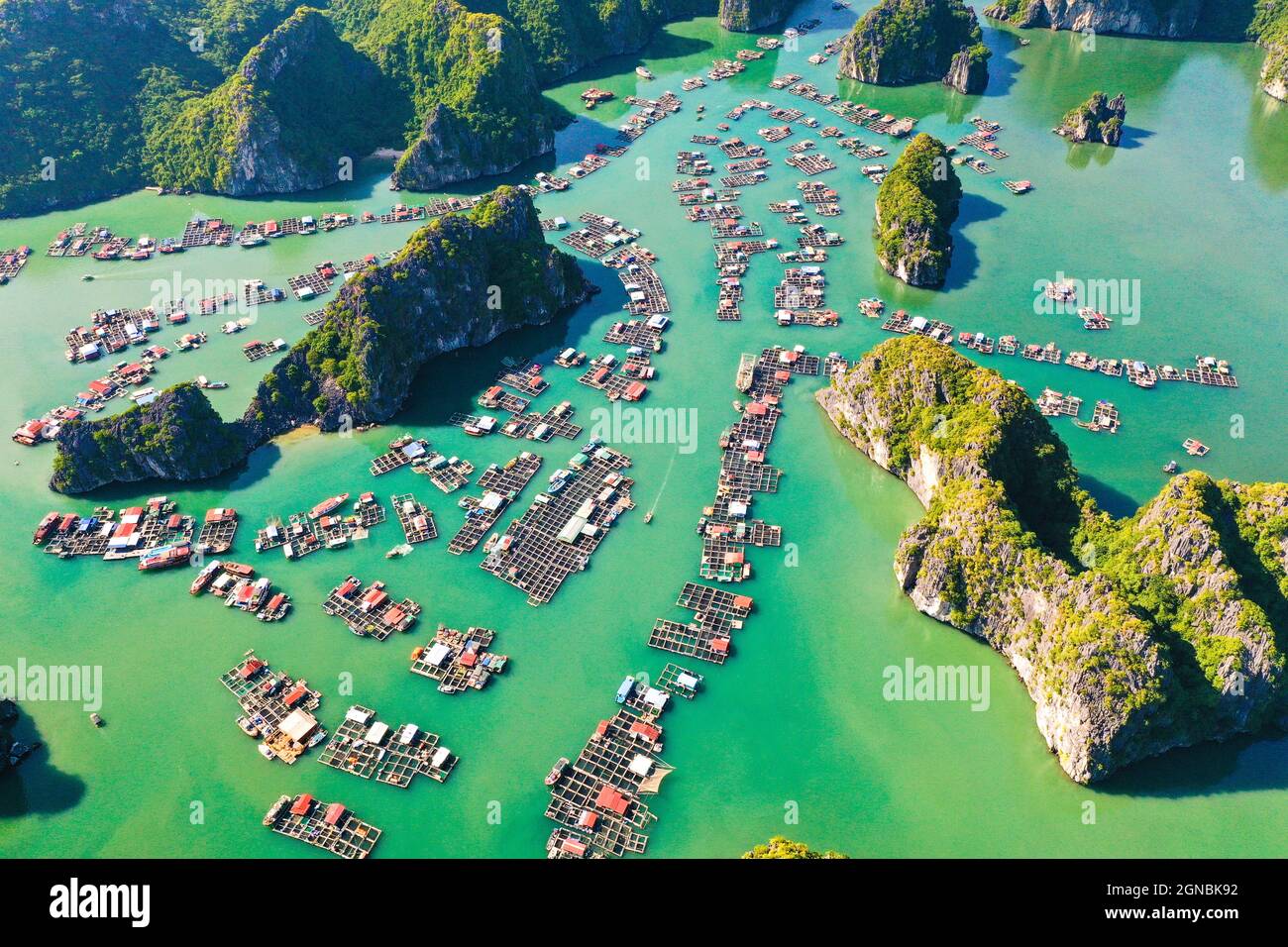 Lan Ha Bay in der Stadt Hai Phong im Norden Vietnams Stockfoto