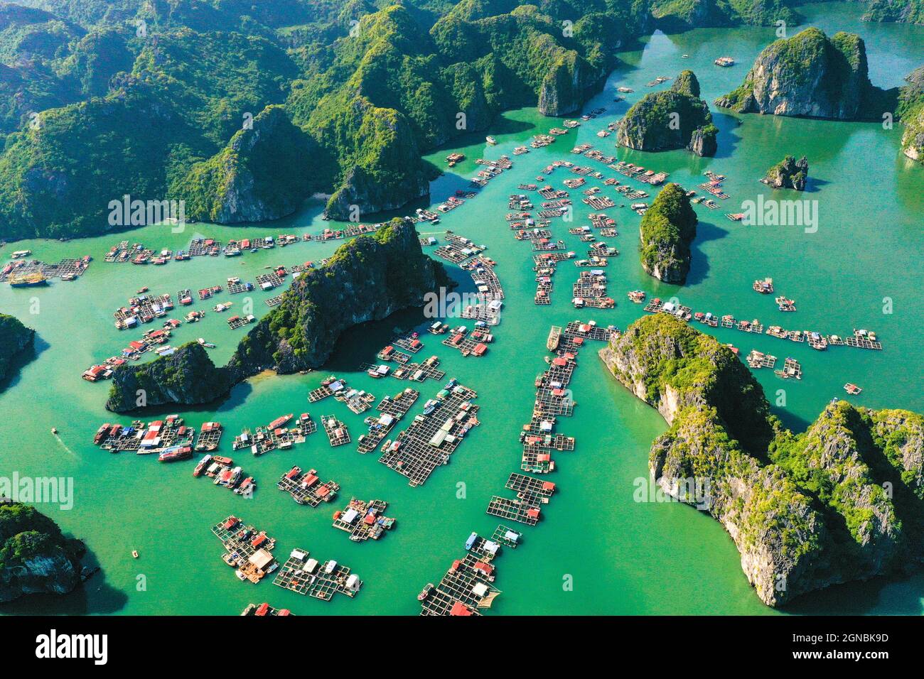 Lan Ha Bay in der Stadt Hai Phong im Norden Vietnams Stockfoto