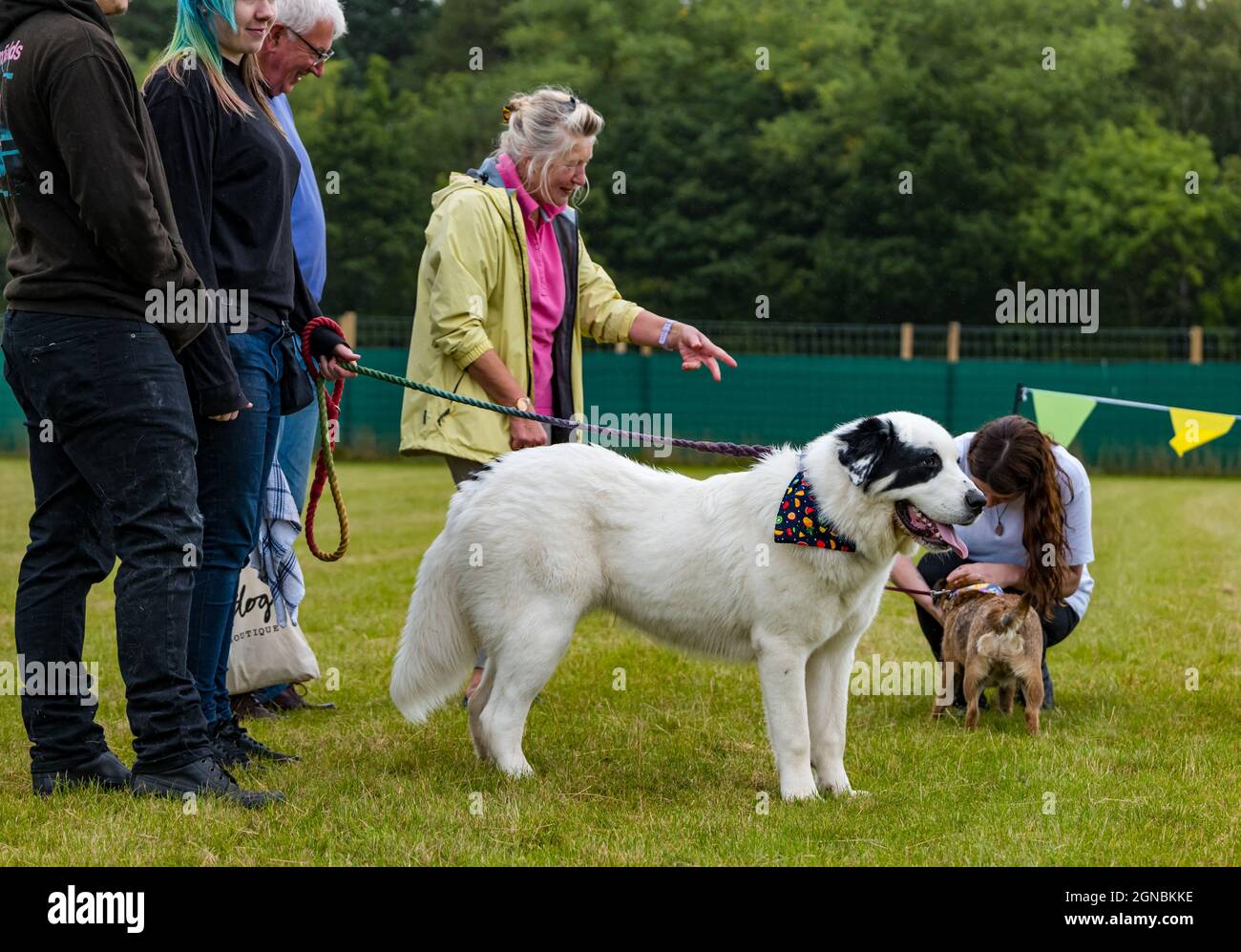 Menschen mit einem zentralasiatischen Schäferhund beim Hundetrainingstag, East Lothian, Schottland, Großbritannien Stockfoto