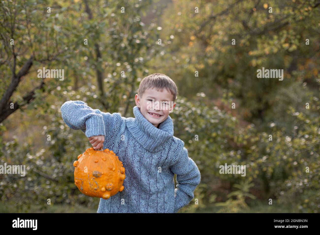 Deformierte hässliche orangefarbene Kürbisse in den Händen eines Kindes. Stockfoto