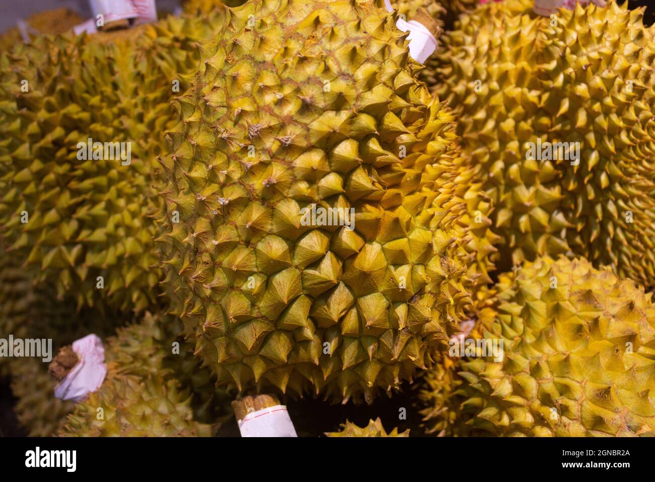 Durian zum Verkauf in Supermarktregalen Stockfoto